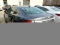 Nebula Gray Pearl - ES 350 Photo No. 3