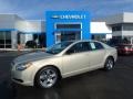 Gold Mist Metallic 2012 Chevrolet Malibu LS