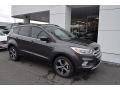 2018 Magnetic Ford Escape SEL  photo #1