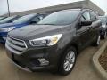 2018 Magnetic Ford Escape SEL  photo #1