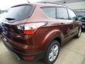 2018 Cinnamon Glaze Ford Escape SE 4WD  photo #2