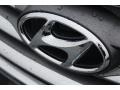 Platinum Graphite - Santa Fe Sport  Photo No. 4