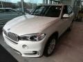Mineral White Metallic - X5 xDrive35i Photo No. 3