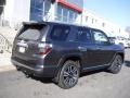 Magnetic Gray Metallic - 4Runner Limited 4x4 Photo No. 10
