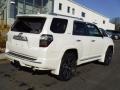 Blizzard Pearl White - 4Runner Limited 4x4 Photo No. 10