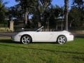 Carrara White - 911 Carrera Cabriolet Photo No. 6