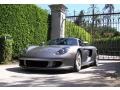 Seal Grey Metallic - Carrera GT  Photo No. 15