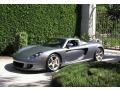 Seal Grey Metallic - Carrera GT  Photo No. 19