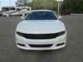 White Knuckle - Charger SXT Plus Photo No. 8