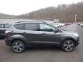 Magnetic 2018 Ford Escape SEL 4WD Exterior