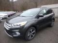 Magnetic 2018 Ford Escape SEL 4WD Exterior