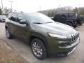 2018 Olive Green Pearl Jeep Cherokee Limited 4x4  photo #9