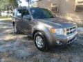 2012 Sterling Gray Metallic Ford Escape Limited  photo #4