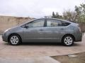 Tideland Gray Green Pearl - Prius Hybrid Photo No. 8