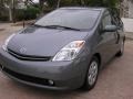 Tideland Gray Green Pearl - Prius Hybrid Photo No. 11