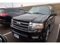 Shadow Black Metallic - Expedition Limited 4x4 Photo No. 3