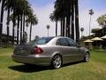 2004 Pewter Silver Metallic Mercedes-Benz E 320 Sedan  photo #16