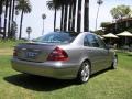 2004 Pewter Silver Metallic Mercedes-Benz E 320 Sedan  photo #22