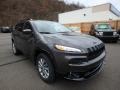 2018 Granite Crystal Metallic Jeep Cherokee Latitude 4x4  photo #7