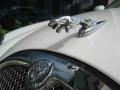 2006 White Onyx Jaguar S-Type 3.0  photo #12