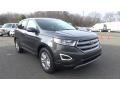 Magnetic - Edge SEL AWD Photo No. 1