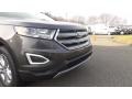 Magnetic - Edge SEL AWD Photo No. 28