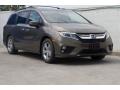 2018 Pacific Pewter Metallic Honda Odyssey EX-L  photo #1