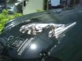 British Racing Green - XJ XJ8 Photo No. 14