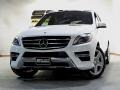 Polar White - ML 350 4Matic Photo No. 1