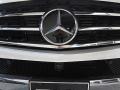 Polar White - ML 350 4Matic Photo No. 13
