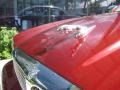 Radiance Red Metallic - XJ Vanden Plas Photo No. 16