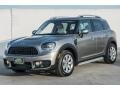 Melting Silver Metallic - Countryman Cooper Photo No. 14