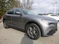 Silverstone Gray Metallic - Stelvio Ti AWD Photo No. 11