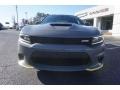 2018 Destroyer Gray Dodge Charger R/T  photo #2