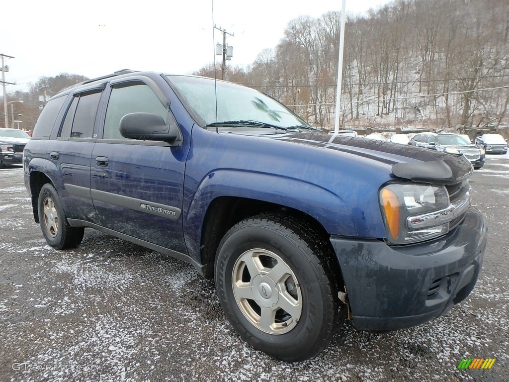 2003 TrailBlazer LS 4x4 - Indigo Blue Metallic / Medium Oak photo #10