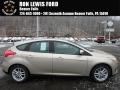 White Gold - Focus SE Hatch Photo No. 1