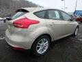 White Gold - Focus SE Hatch Photo No. 2