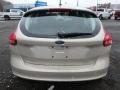 White Gold - Focus SE Hatch Photo No. 3
