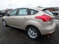 White Gold - Focus SE Hatch Photo No. 4