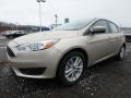 White Gold - Focus SE Hatch Photo No. 6