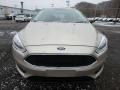 White Gold - Focus SE Hatch Photo No. 7