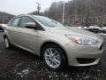 White Gold - Focus SE Hatch Photo No. 8