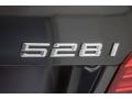 2015 Dark Graphite Metallic BMW 5 Series 528i Sedan  photo #7