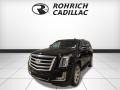 2017 Black Raven Cadillac Escalade Luxury 4WD  photo #1