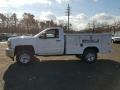 Summit White - Silverado 2500HD Work Truck Regular Cab 4x4 Chassis Photo No. 3