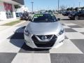 Brilliant Silver - Maxima Platinum Photo No. 2