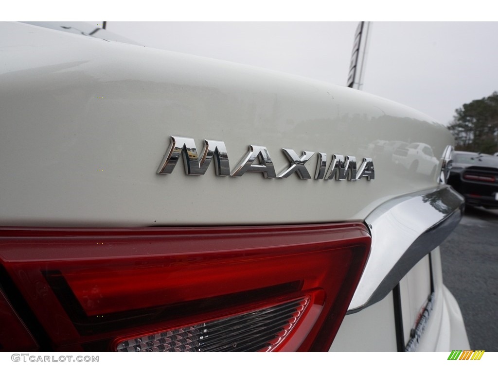 2017 Maxima SV - Pearl White / Cashmere photo #16