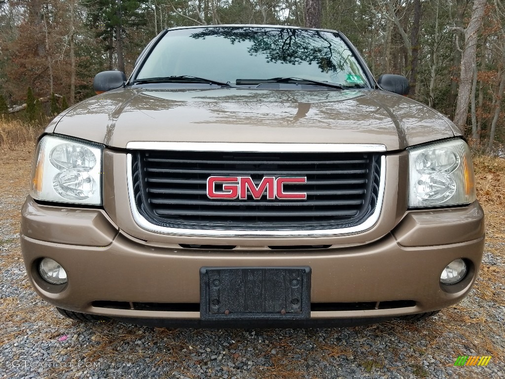 2003 Envoy SLT 4x4 - Sandalwood Metallic / Light Oak photo #8
