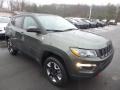 Olive Green Pearl - Compass Trailhawk 4x4 Photo No. 7