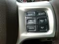 Canyon Brown/Light Frost Beige Controls Photo for 2017 Ram 1500 #124468191